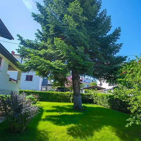 Apartament Pinia